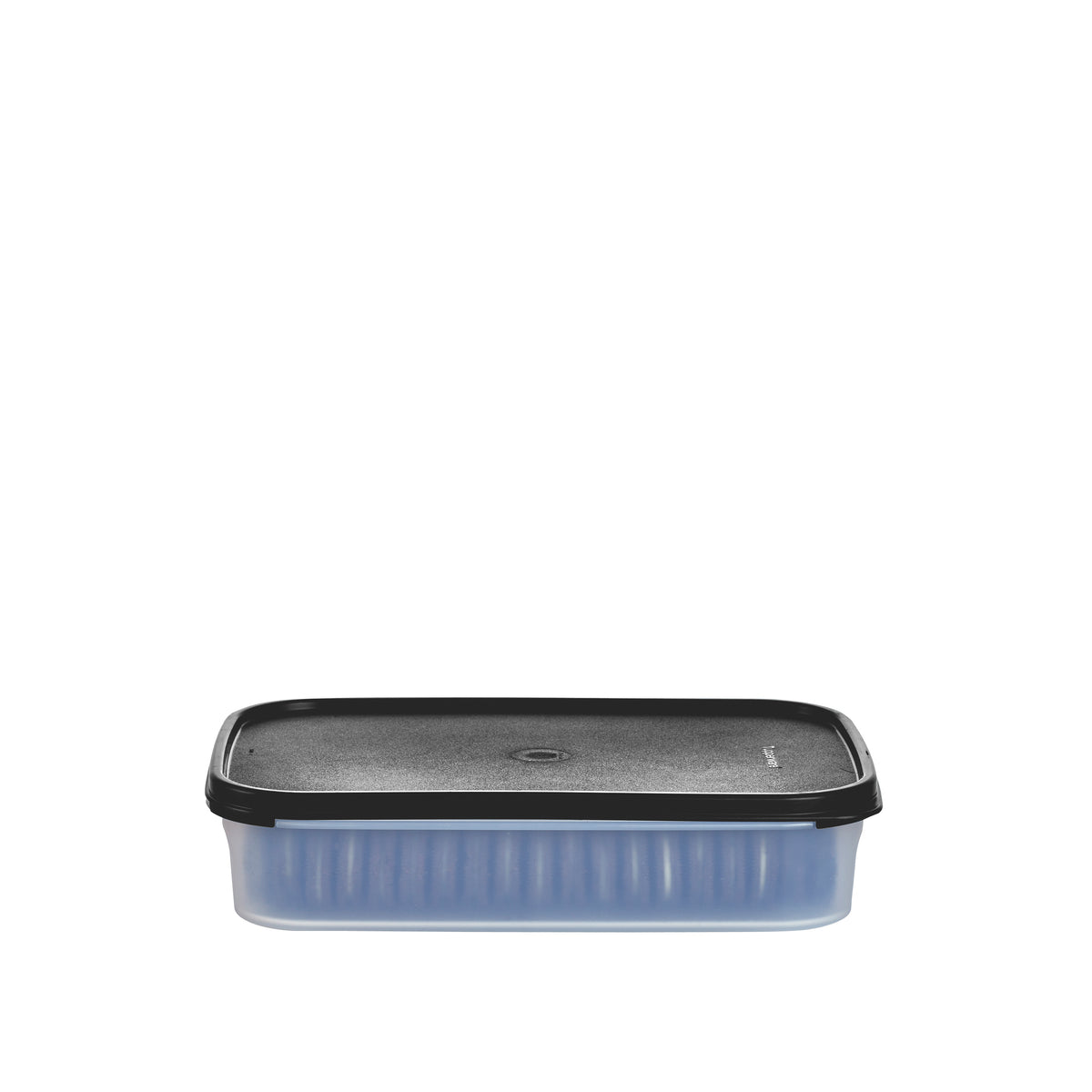 Tupperware? Modular Mates? Rectangle 1 | Food Container 8.5-cup / 2 L
