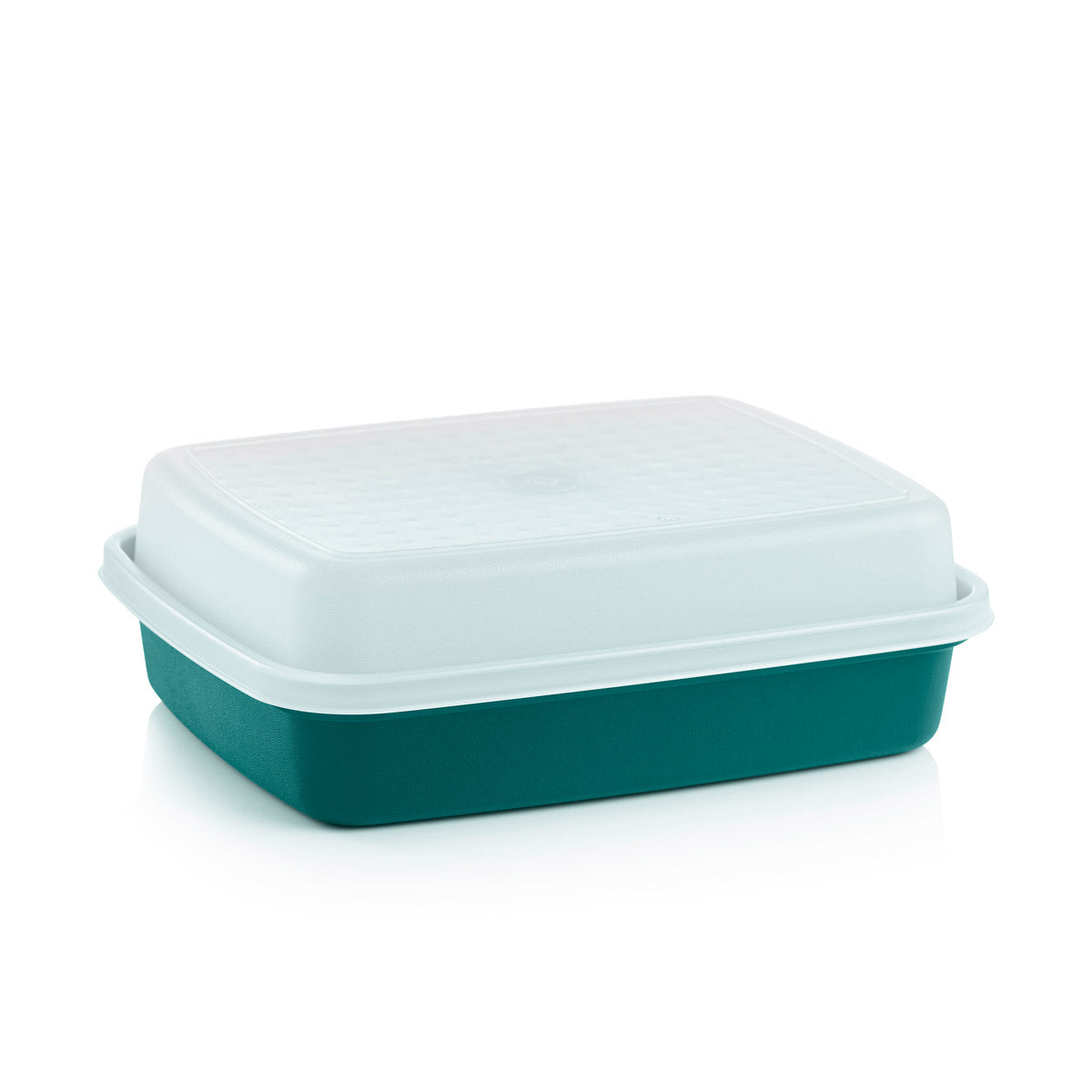 Tupperware? Season-Serve? Marinating & Food Storage Container with Lid