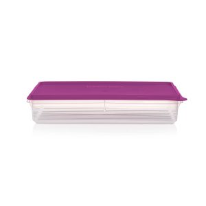 Tupperware? Snack-Stor? Large Airtight Food Storage Container