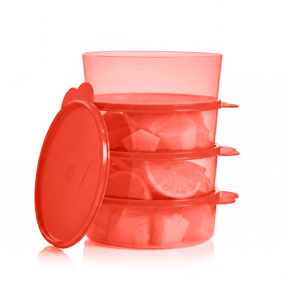 Big Wonders? Bowls | Large