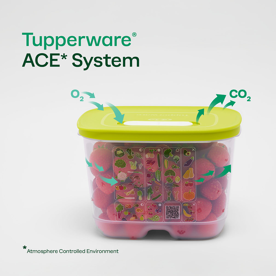 Tupperware? FridgeSmart? Small Deep | Produce Storage Container With Lid - Image 2
