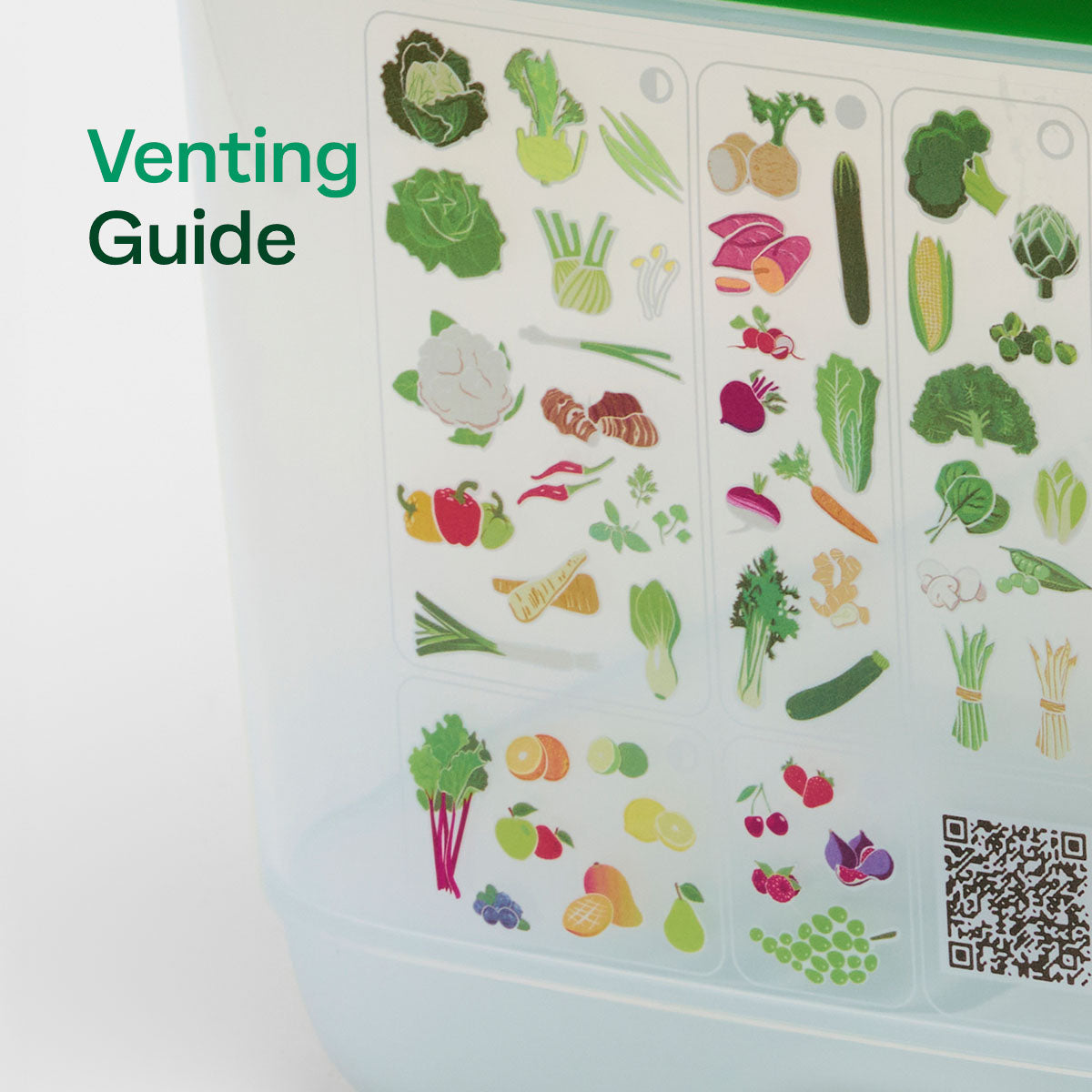 Tupperware? FridgeSmart? Small Deep | Produce Storage Container With Lid - Image 4