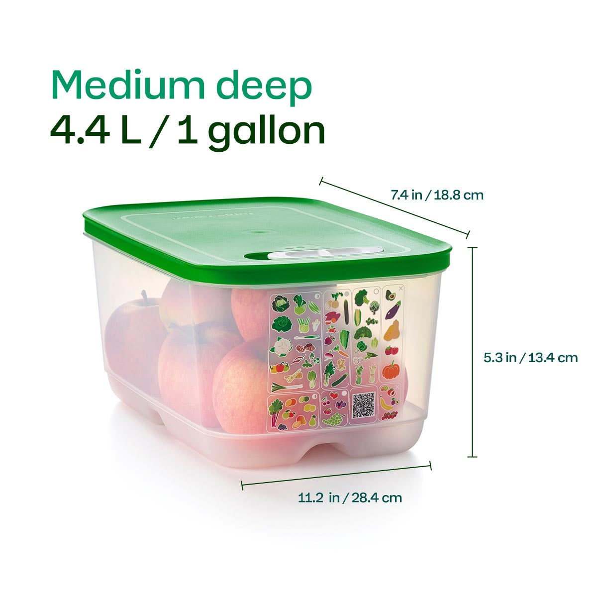 Tupperware? FridgeSmart? 4-Piece Starter Set | Food Storage Containers - Image 10